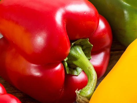 Peppers capsicum store