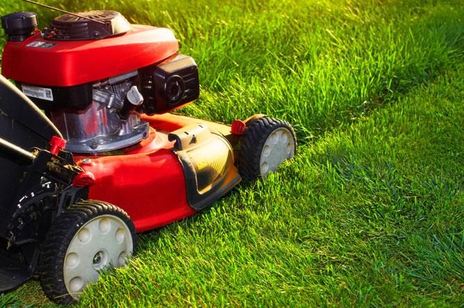 Lawn Care Basics - Scotts Australia