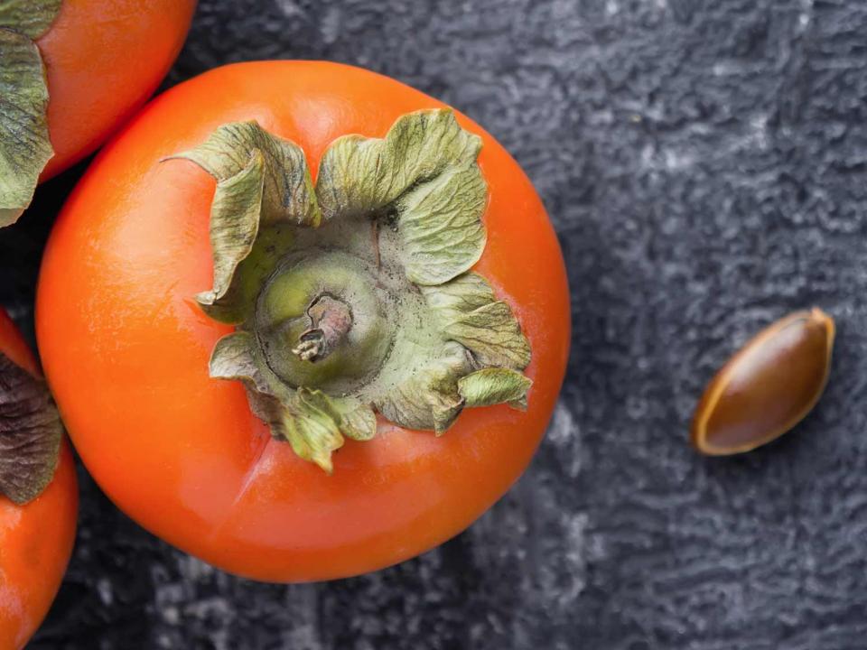 are-persimmons-itself-bad-for-dogs