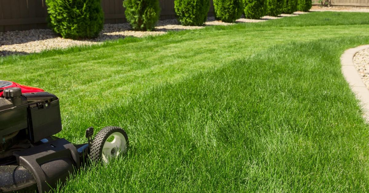 Spring Lawn Care Guide: Tips for a Lush and Healthy Lawn