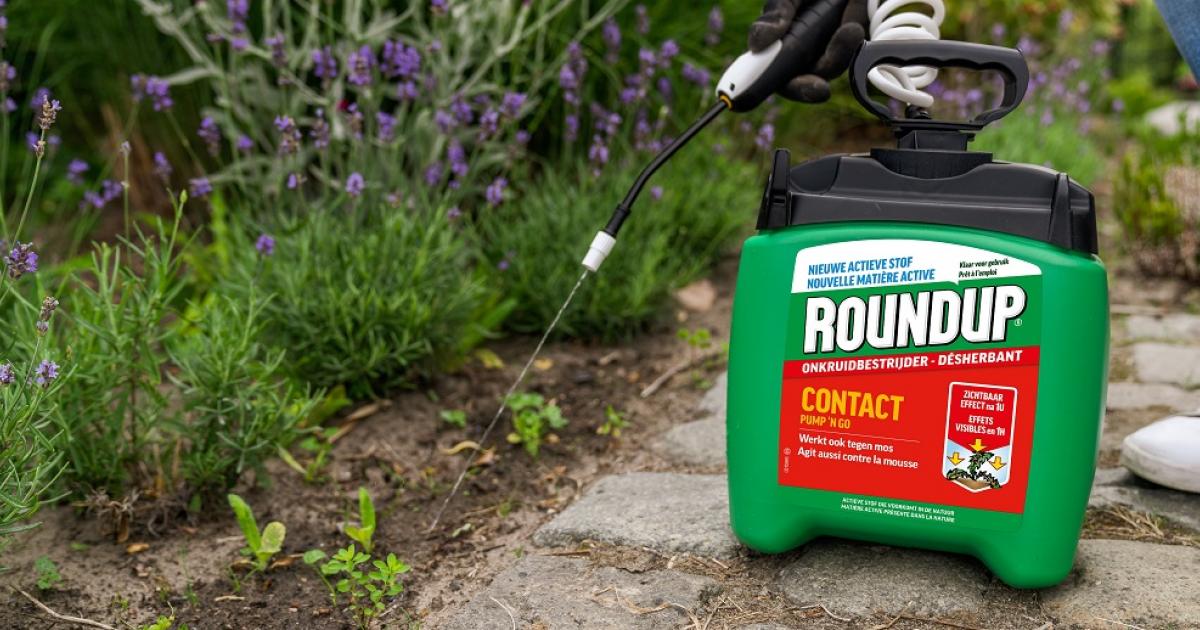 Désherbant jardin gazon Roundup prêt à l'emploi puissant efficace herbicide  2,5L - Shopping.com