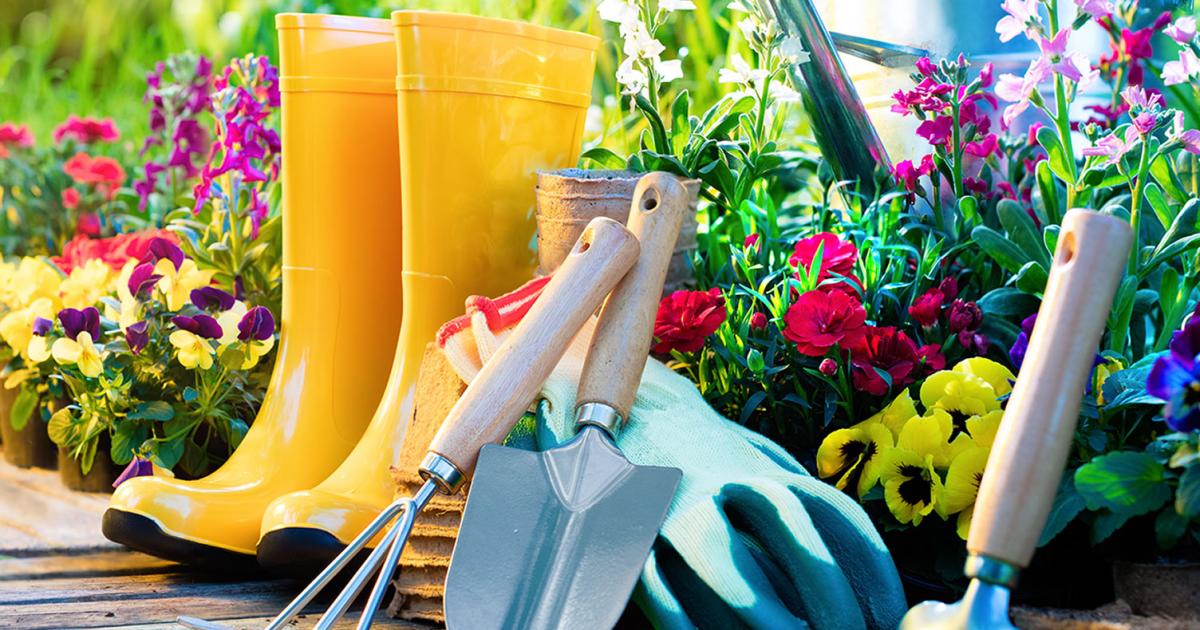 Outils de jardin : quel outils de jardinage choisir et utiliser ?