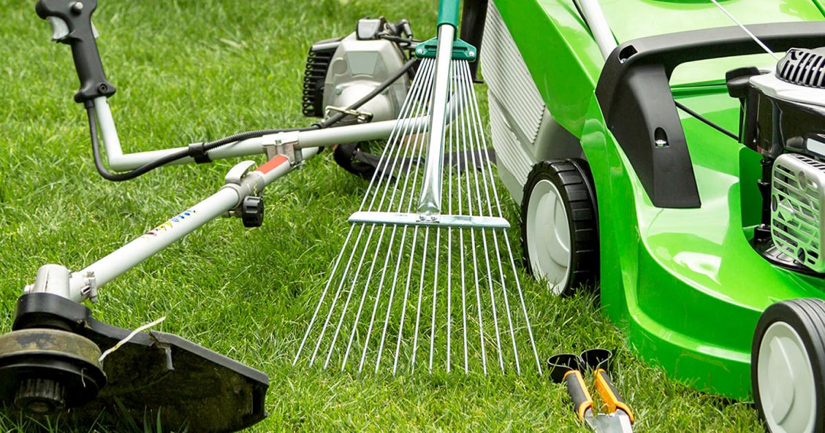 A Complete Guide To Lawn Care Tools | Love The Garden
