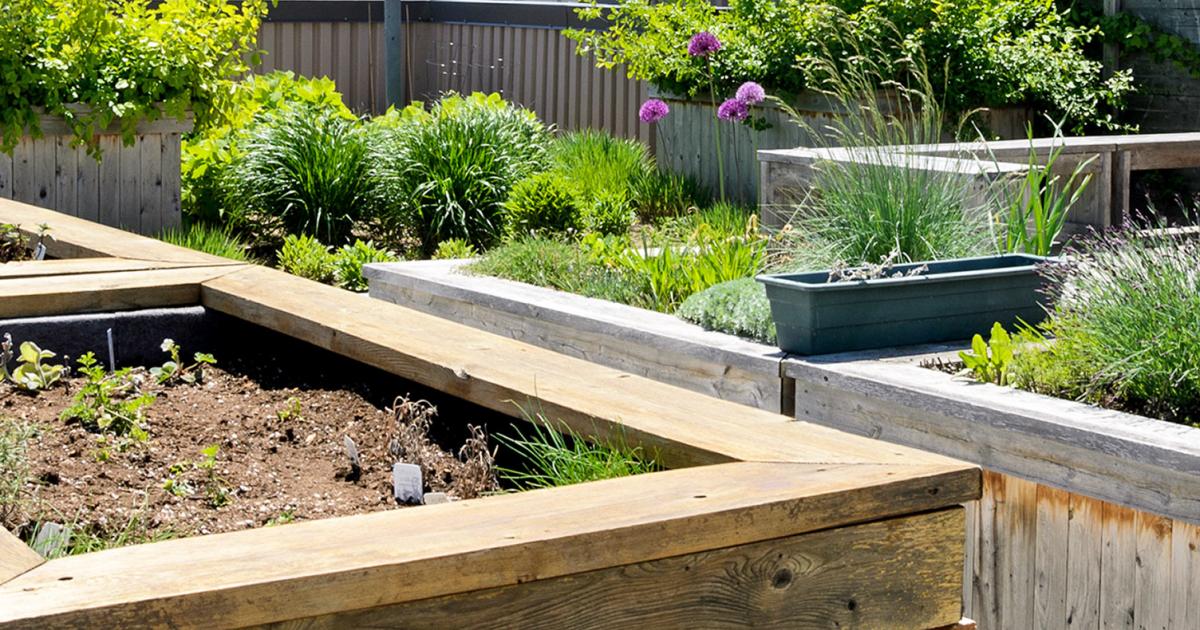 Important Things to Consider When Designing a Rooftop Garden
