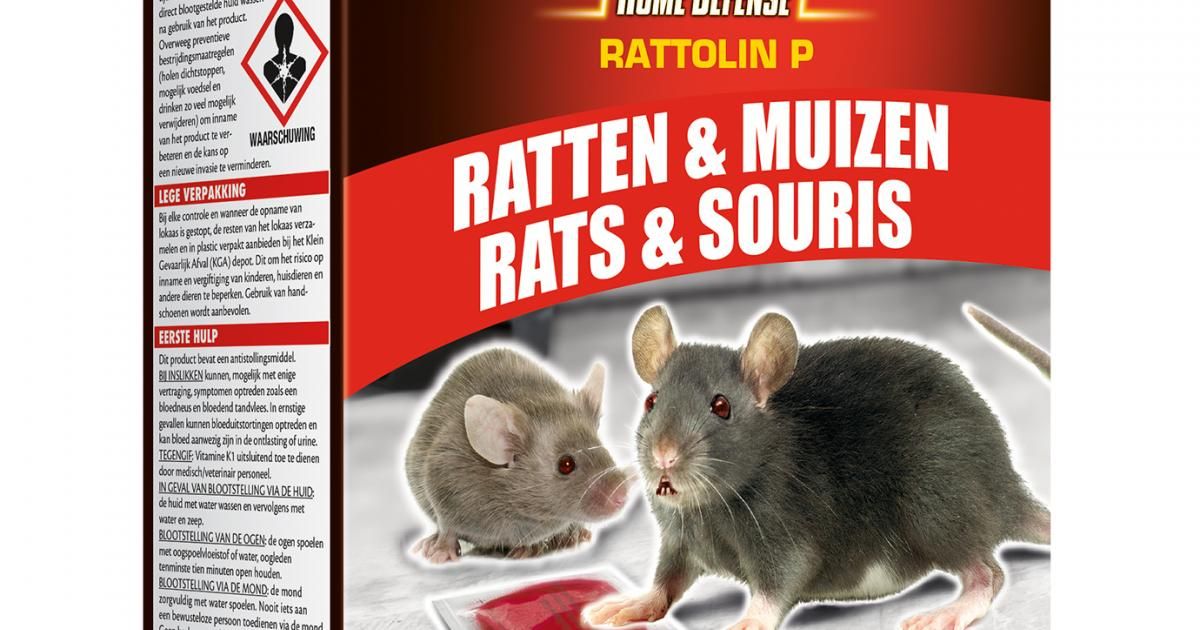 Piège à glue rats et souris KB Home Defense - 2 pcs