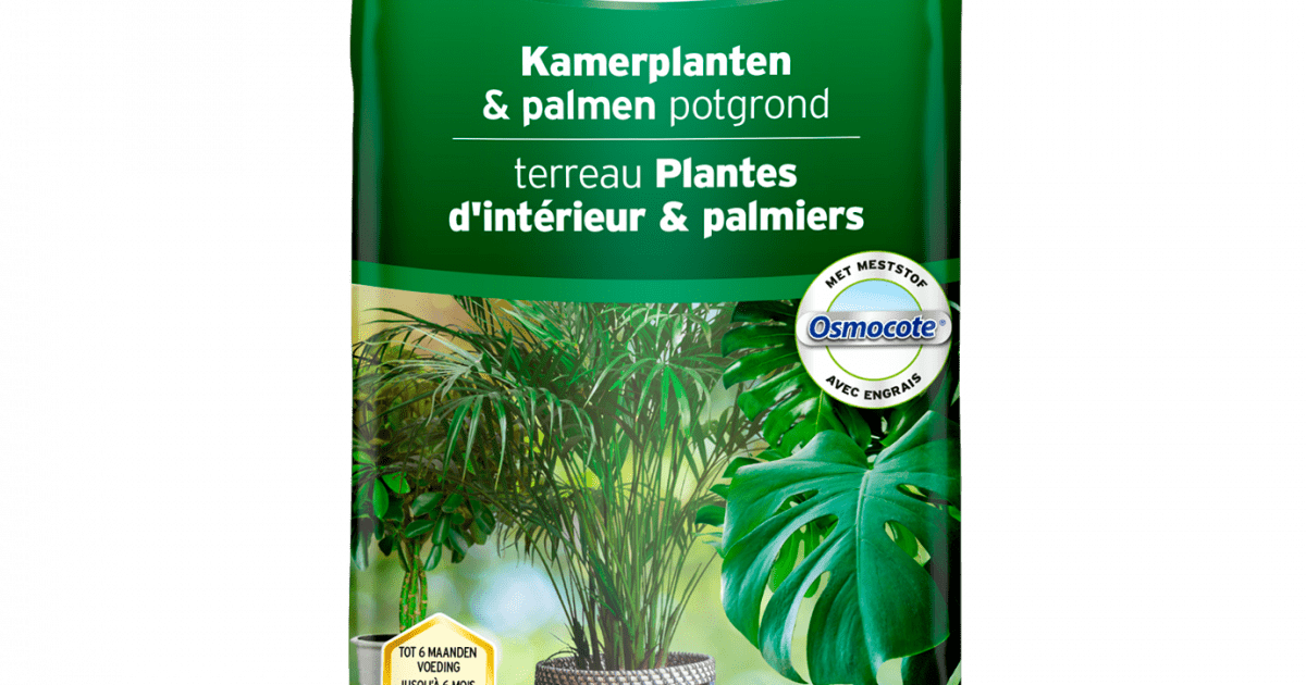 Compo Terreau pour plantes vertes et palmiers Acheter chez JUMBO