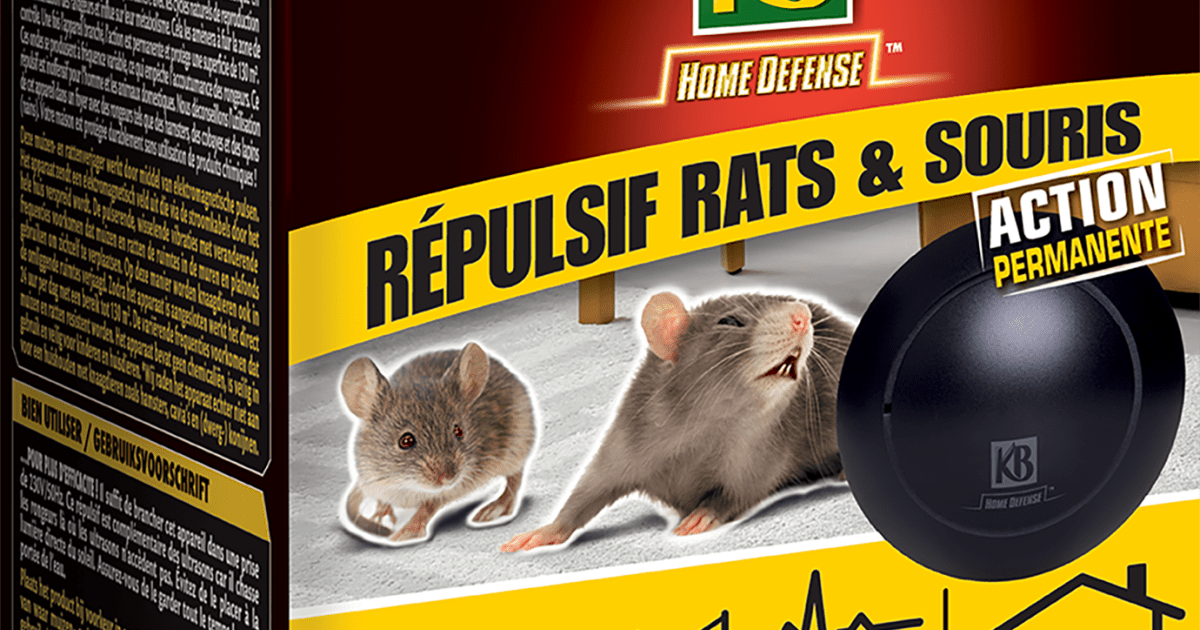 Répulsif rats et souris ultrason, 1 pièce, taille unique