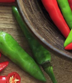 How to grow chillies