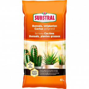 Substral Terreau Cactus, Bonsaïs Et Plantes Grasses, 6 L