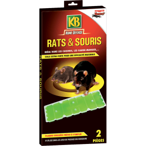 Plaques de glu pour souris et rats