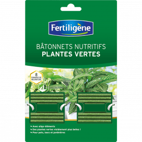 Fertiligène bâtonnets nutritifs plantes vertes main image