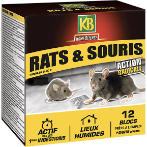 Pack KB Home Defense - 2 pièges à rats - 2 rats pâtes - 30 pâtes - Espace  Bricolage