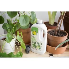 Engrais liquide pour plantes vertes d’intérieur