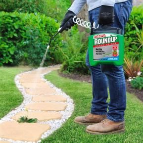 Roundup weed killer 2024 for lawns