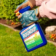 Roundup® for Lawn Ultra Ready to Use Weedkiller 1 litre