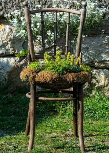 Upcycled Old Chair Planter