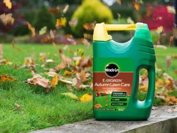 Lawn autumn deals feed