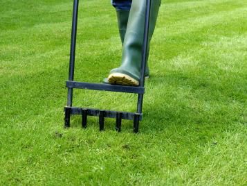 Aerate lawn store service