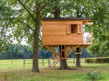 Large treehouse in garden