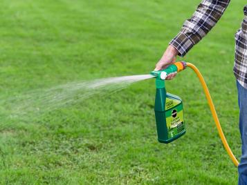 Water the online lawn