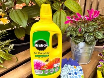 Miracle-Gro All Purpose Liquid Plant Food can be used to feed houseplants