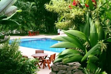 Aménagez sa piscine avec des plantes 