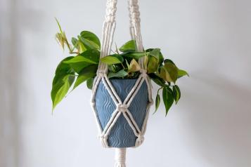 Indoor plant in blue pot hung using macrame string hanger