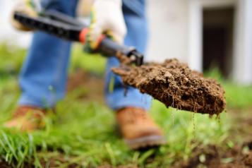 Close-up of gardener with shovelful of soil