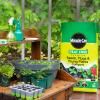 Miracle-Gro® Peat Free Premium Seeds, Plugs & Young Plants Compost image 2