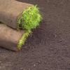 Levington® Peat Free Top Soil image 2