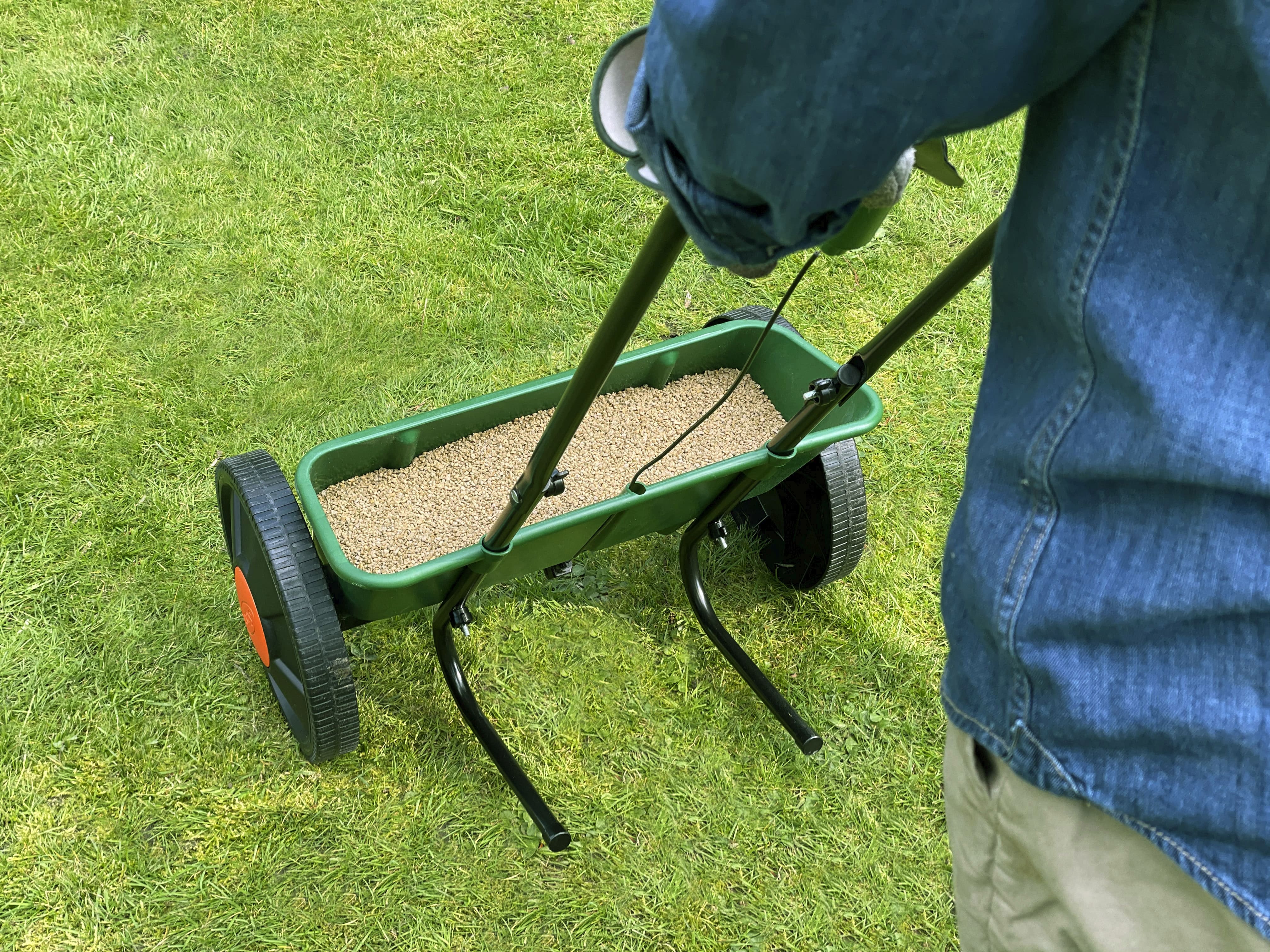 Miracle-Gro Drop Spreader filled with seeds being pushed across grass.