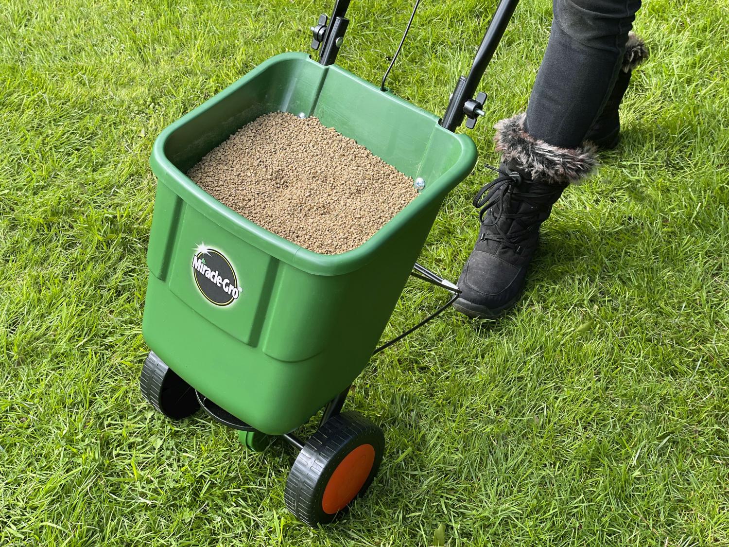 A Miracle-Gro lawn seed spreader filled with grass seed on a lawn.